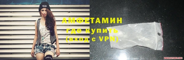 ГАЛЛЮЦИНОГЕННЫЕ ГРИБЫ Инсар