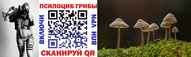 купить наркотики цена  Адыгейск  Псилоцибиновые грибы Psilocybine cubensis 